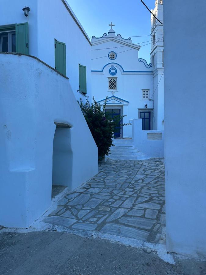 Cycladic House With Amazing View In Potamia Village Dio Choria 외부 사진